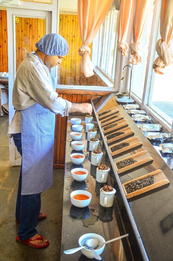 Tumsong Chiabari - The Tea Retreat Hotel Darjeeling  Eksteriør billede